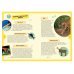 Животные планеты. Интерактивная детская энциклопедия с магнитами