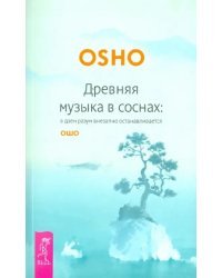 Древняя музыка в соснах: в дзен разум внезапно останавливается