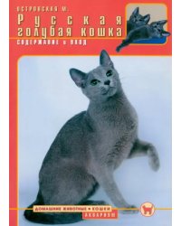 Русская голубая кошка. Содержание и уход