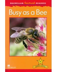 Mac Fact Read.  Busy as a Bee