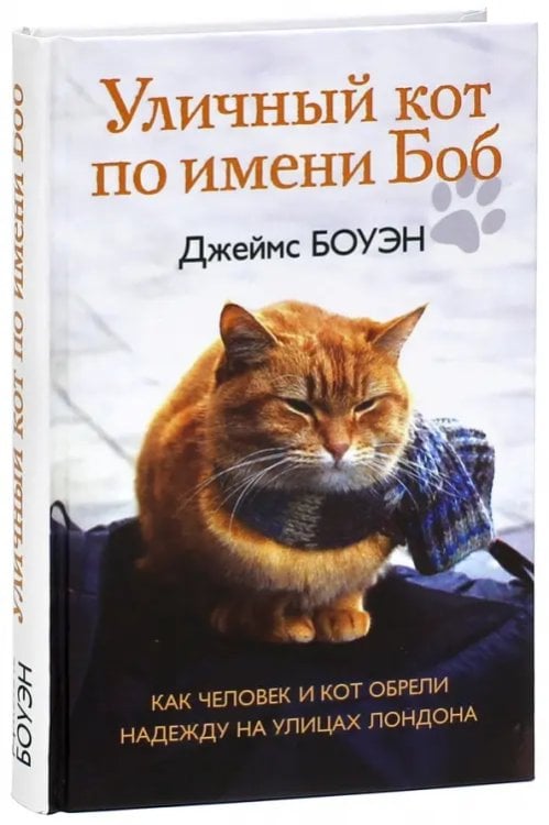 Уличный кот по имени Боб. Как человек и кот обрели надежду на улицах Лондона