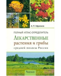 Лекарственные растения и грибы средней полосы России. Полный атлас-определитель