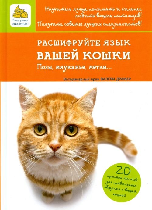 Расшифруйте язык вашей кошки. Позы, мяуканье, метки...