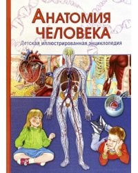 Анатомия человека. Детская иллюстрированная энциклопедия