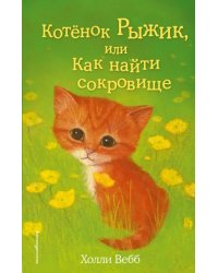 Котёнок Рыжик, или Как найти сокровище