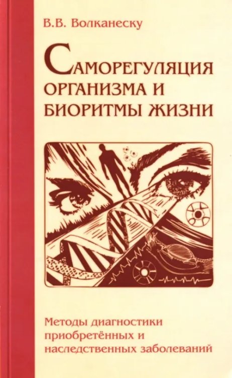 Саморегуляция организма и биоритмы жизни. Методы диагностики