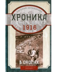 В окопах. 1916 год. Хроника одного полка