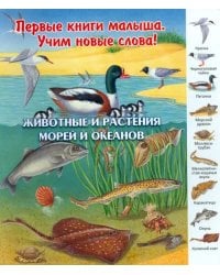 Животные и растения морей и океанов. Виммельбух