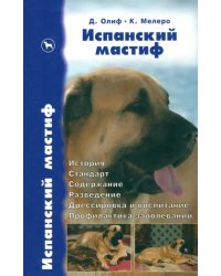 Испанский мастиф. История. Стандарт. Содержание. Разведение. Дрессировка и воспитание. Профилактика