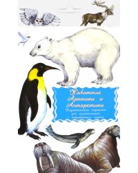 Дидактические карточки &quot;Животные Арктики и Антарктики&quot;