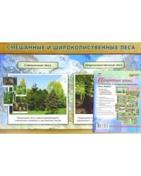 Природные зоны: смешанные и широколиственные леса, тайга. Комплект из 8 плакатов с методическим сопровождением. ФГОС