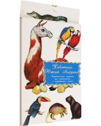 Дидактические карточки. Животные Южной Америки
