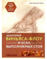 Анатомия виньяса-флоу и асан, выполняемых стоя