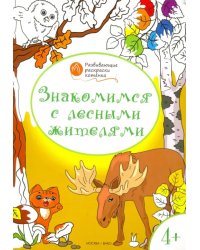 Знакомимся с лесными жителями. Развивающие раскраски для детей 4-5 лет