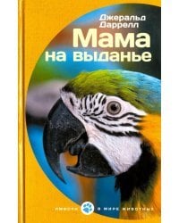 Мама на выданье