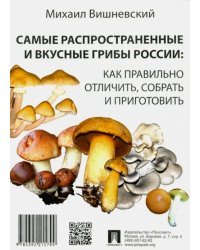 Самые распространенные и вкусные грибы России. Как правильно отличить, собрать и приготовить