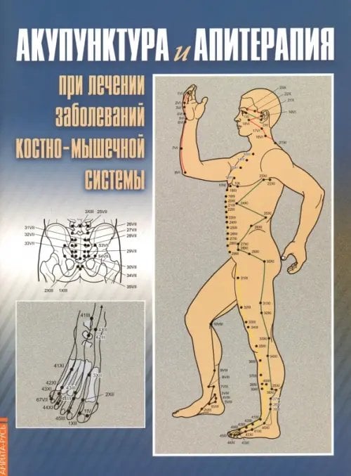 Акупунктура и апитерапия при лечении заболеваний костно-мышечной системы. Практическое руководство