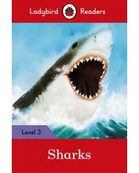 Sharks Activity Book – Ladybird Readers. Level 3 + downloadable audio