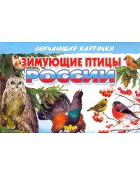 Зимующие птицы России