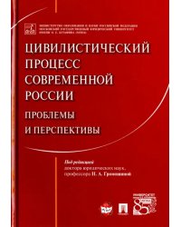 Цивилистический процесс современной России. Проблемы и перспективы. Монография