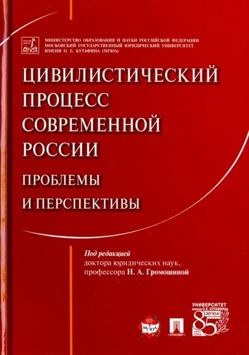 Цивилистический процесс современной России. Проблемы и перспективы. Монография