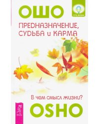 Предназначение, судьба и карма. В чем смысл жизни?