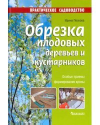 Обрезка плодовых деревьев и кустарников