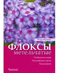 Флоксы метельчатые. Особенности ухода