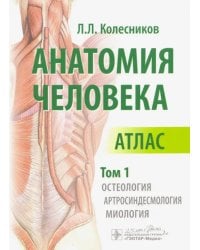 Анатомия человека. Атлас. Том 1. Остеология, артросиндесмология, миология