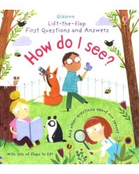 Lift-the-Flap First Questions &amp; Answers How Do I See? Board book