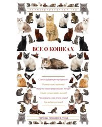 Все о кошках