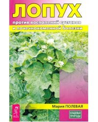 Лопух против воспалений суставов и почечнокаменной болезни
