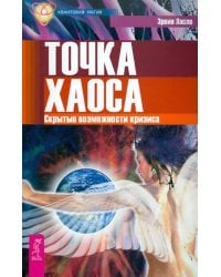 Точка хаоса. Скрытые возможности кризиса