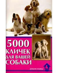 5000 кличек для вашей собаки