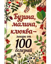 Бузина малина клюква - лекари от 100 болезней