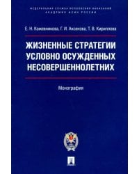 Жизненные стратегии условно осужденных несовершеннолетних. Монография