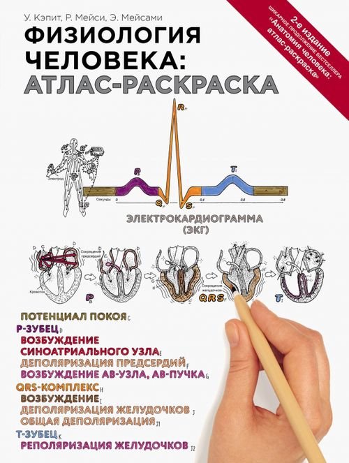 Физиология человека. Атлас-раскраска