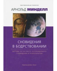 Сновидение в бодрствовании. Методы 24-часового осознаваемого сновидения в психотерапии