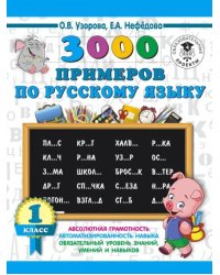 Русский язык. 1 класс. 3000 примеров