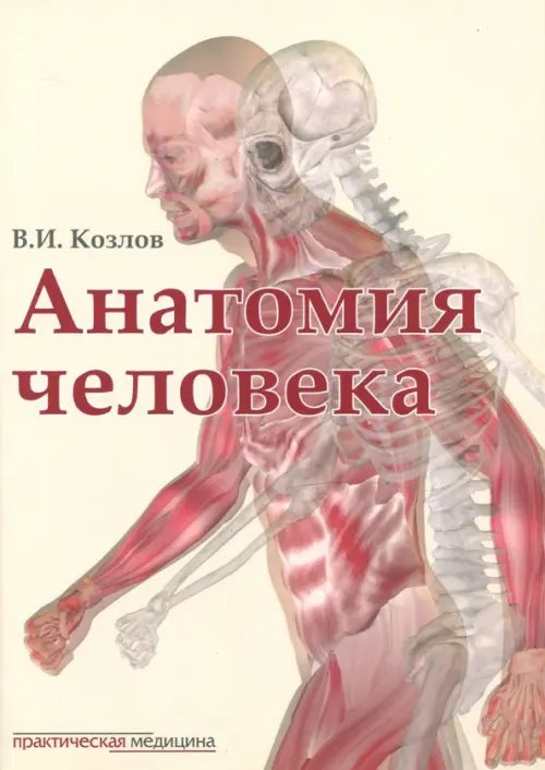 Анатомия человека. Учебник