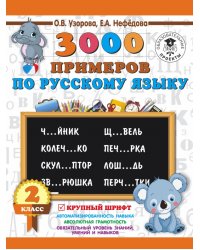 Русский язык. 2 класс. 3000 примеров. Крупный шрифт