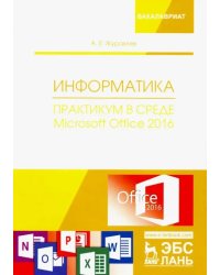 Информатика. Практикум в среде Microsoft Office 2016. Учебное пособие