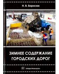 Зимнее содержание городских дорог. Учебное пособие