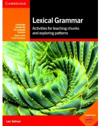 Lexical Grammar: Activities for Teaching Chunks and Exploring Patterns