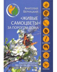 &quot;Живые самоцветы&quot; за порогом дома. Удивительные беспозвоночные