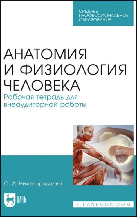 Анатомия и физиология человека. Рабочая тетрадь для внеаудиторной работы. Учебное пособие