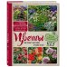Цветы для любого цветника за один сезон. Большая иллюстрированная энциклопедия