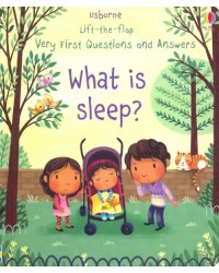 What is Sleep?