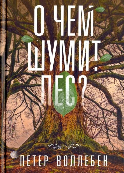 О чём шумит лес?