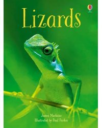 Lizards